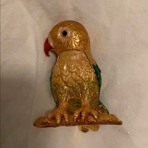 Secret Parrot!!  His belly open for treasures 🌟